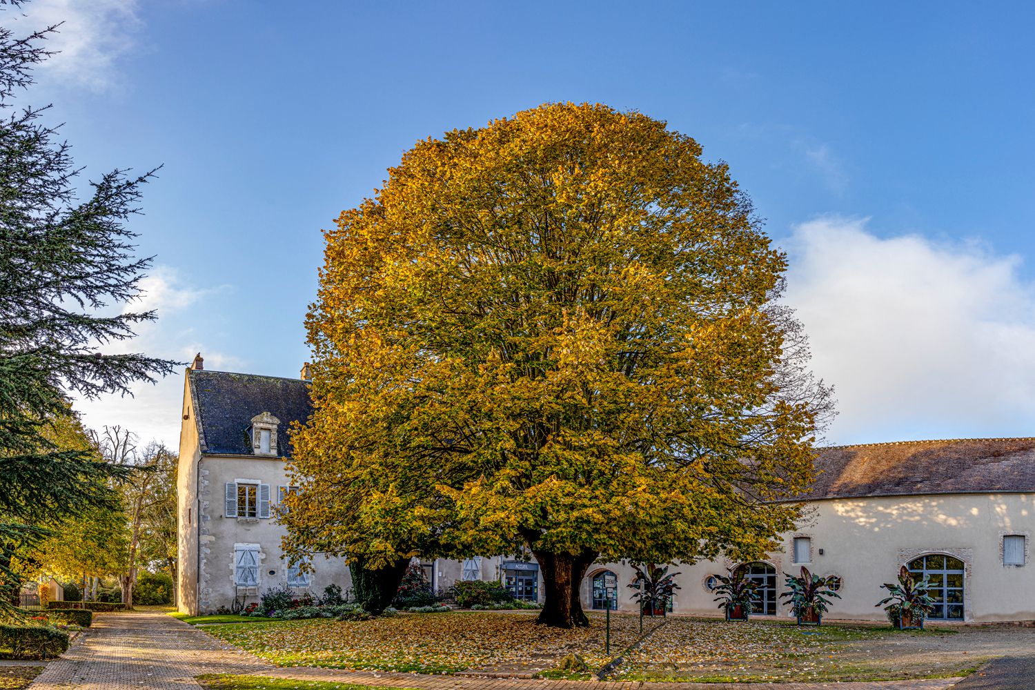 Jardins de la mairie de Léré en automne